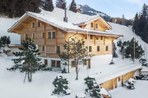 Beautiful Modern Chalet in the Gstaad Region